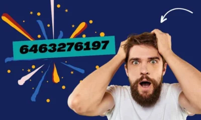 Exploring the Mystery Behind the Number: 6463276197